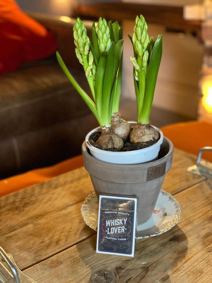 The Walled Garden At Cheshire Boutique Bathhouse نانتويتش المظهر الخارجي الصورة